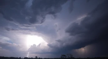 Severe Storms Cause Havoc in Northeast Mississippi